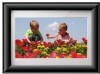 Get support for ViewSonic VFA710W-10 - Digital Photo Frame