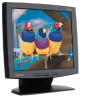 Get support for ViewSonic VG171b