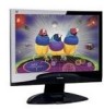 Troubleshooting, manuals and help for ViewSonic VX1932wm - 19 Inch LCD Monitor