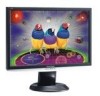 Troubleshooting, manuals and help for ViewSonic VX1940W - 19 Inch LCD Monitor