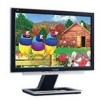 Troubleshooting, manuals and help for ViewSonic VX2025WM - 20.1 Inch LCD Monitor