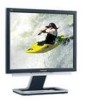 Get support for ViewSonic VX924 - Xtreme LCD - 19