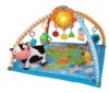 Get support for Vtech Lil Critters Discover & Learn Gym
