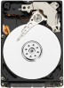 Troubleshooting, manuals and help for Western Digital WD10JUCT