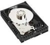 Troubleshooting, manuals and help for Western Digital WD1500ADFD - Raptor 150 GB Hard Drive