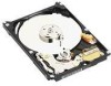Troubleshooting, manuals and help for Western Digital WD2500BEVE - Scorpio 250 GB Hard Drive