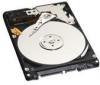 Troubleshooting, manuals and help for Western Digital WD2500BEVS - Scorpio 250 GB Hard Drive