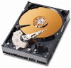 Get support for Western Digital WD400BB
