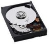 Troubleshooting, manuals and help for Western Digital WD5000AAKB - Caviar 500 GB Hard Drive
