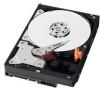 Troubleshooting, manuals and help for Western Digital WD5000ABPS - RE2-GP - Hard Drive