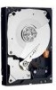 Troubleshooting, manuals and help for Western Digital WD7501AALS - Caviar 750 GB Hard Drive