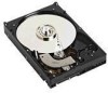 Troubleshooting, manuals and help for Western Digital WD800BD - Caviar 80 GB Hard Drive