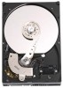 Troubleshooting, manuals and help for Western Digital WD800JD - 80 GB SATA Hard Drive