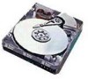 Troubleshooting, manuals and help for Western Digital WDE4550-0007 - Enterprise 4.55 GB Hard Drive