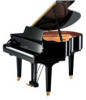Get support for Yamaha GB1KS